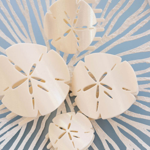 Sand Dollar Flat Hair
Clip
