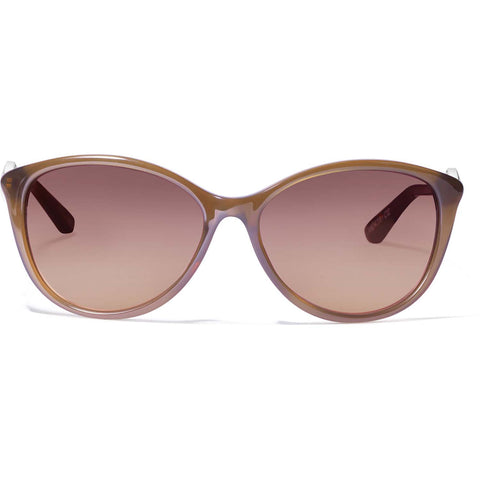 Brighton Ferrara Sunglasses